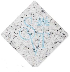 Indian Ornamental White Granite Slab