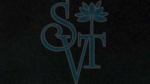 Indian Pearl Black Granite Slab