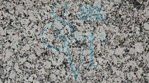 Indian Premium White Granite Slab