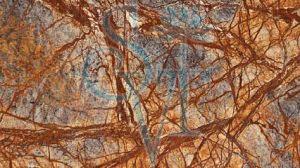 Indian Rainforest Brown Granite Slab