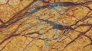 Indian Rainforest Gold Granite Slab