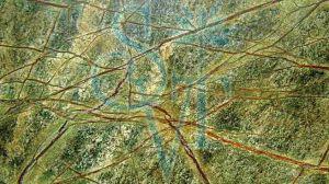 Indian Rainforest Green Granite Slab