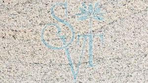 Indian Viscon White Granite Slab