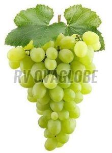 A Grade Fresh Green Grapes