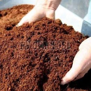 Coco Peat Powder