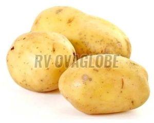 Sugar Free Fresh Potato