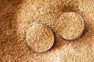 Natural Rice Husk