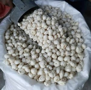 4 Suta Plus Phool Makhana