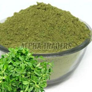 Dehydrated Fenugreek Leaves Powder