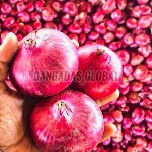 Fresh Red Onion