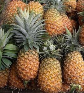 Fresh Pineapple