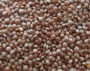 Organic Whole Masoor Dal