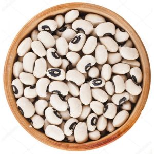 White Kidney Beans