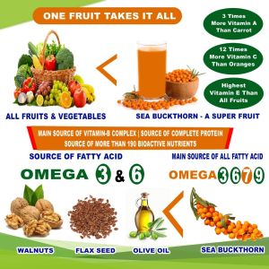 1000ml Sea Buckthorn Juice