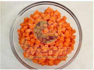 Dehydrated Carrot Cubes