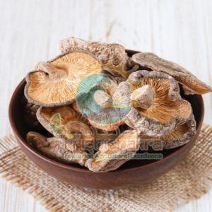 Dehydrated Mushroom Flakes