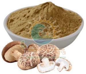 Dehydrated Mushroom Powder