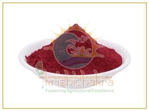 Natural Dried Dehydrated Beetroot Powder