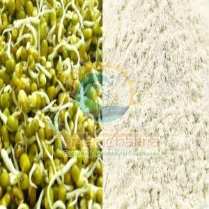 Sprouted Moong Flour