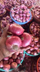 A Grade Red Onion