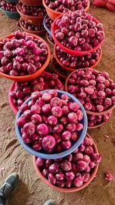 A Grade Red Onion