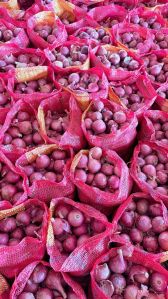 A Grade Red Onion