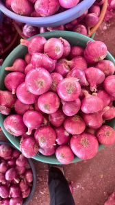 A Grade Red Onion