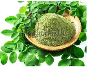 Green Moringa Powder