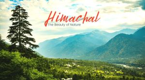 Himachal Pradesh Tour Package Service