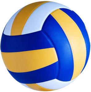 Professional Volleyball