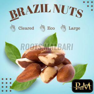 Brazil Nuts