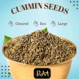 Cumin Seeds