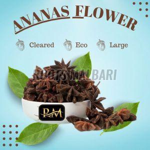 Dried Ananas Flower