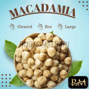Macadamia Nuts