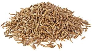 Cumin Seeds
