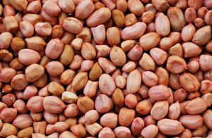 Groundnut Seeds