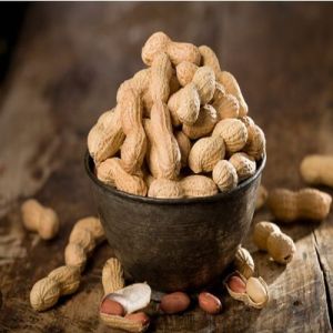 Shelled Groundnuts