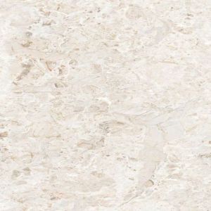 Arctic Bianco Glossy Tile