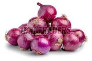 Fresh Red Onion