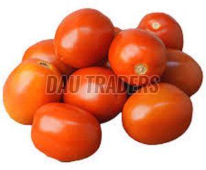 Fresh Red Tomato