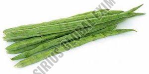 A Grade Organic Drumsticks