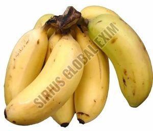 A Grade Organic Rasthali Banana