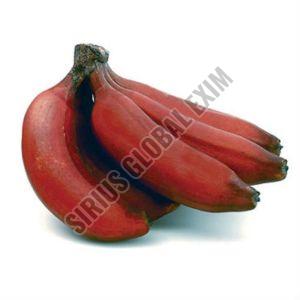 A Grade Organic Red Banana
