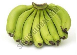 A Grade Robusta Banana