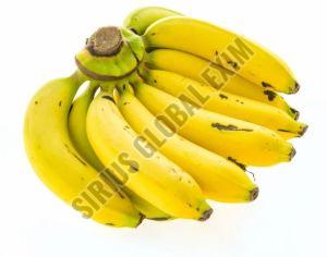 Fresh Baby Banana