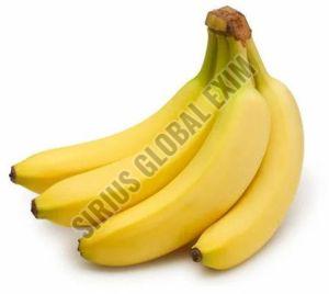 Fresh Cavendish Banana