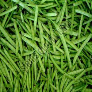 Fresh Guar Beans