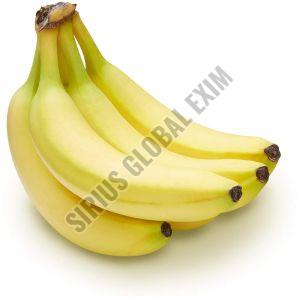 Fresh Organic Banana