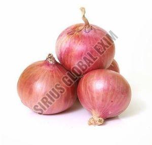 Fresh Pink Onion