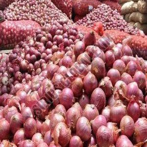Fresh Red Onion